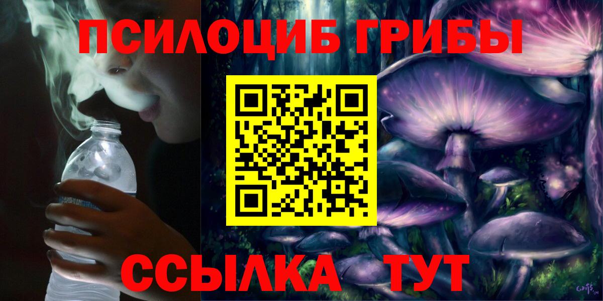Галлюциногенные грибы Psilocybe Сланцы